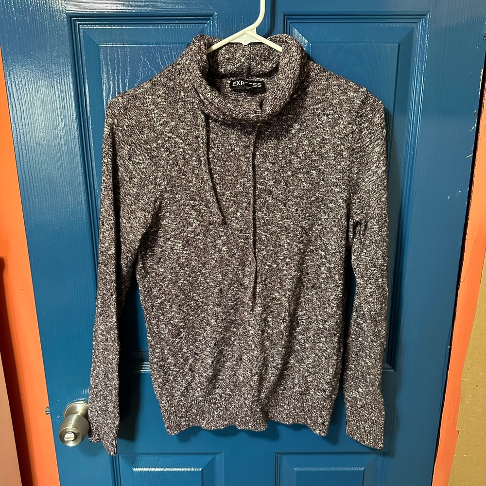 Express men’s like turtle neck sweater